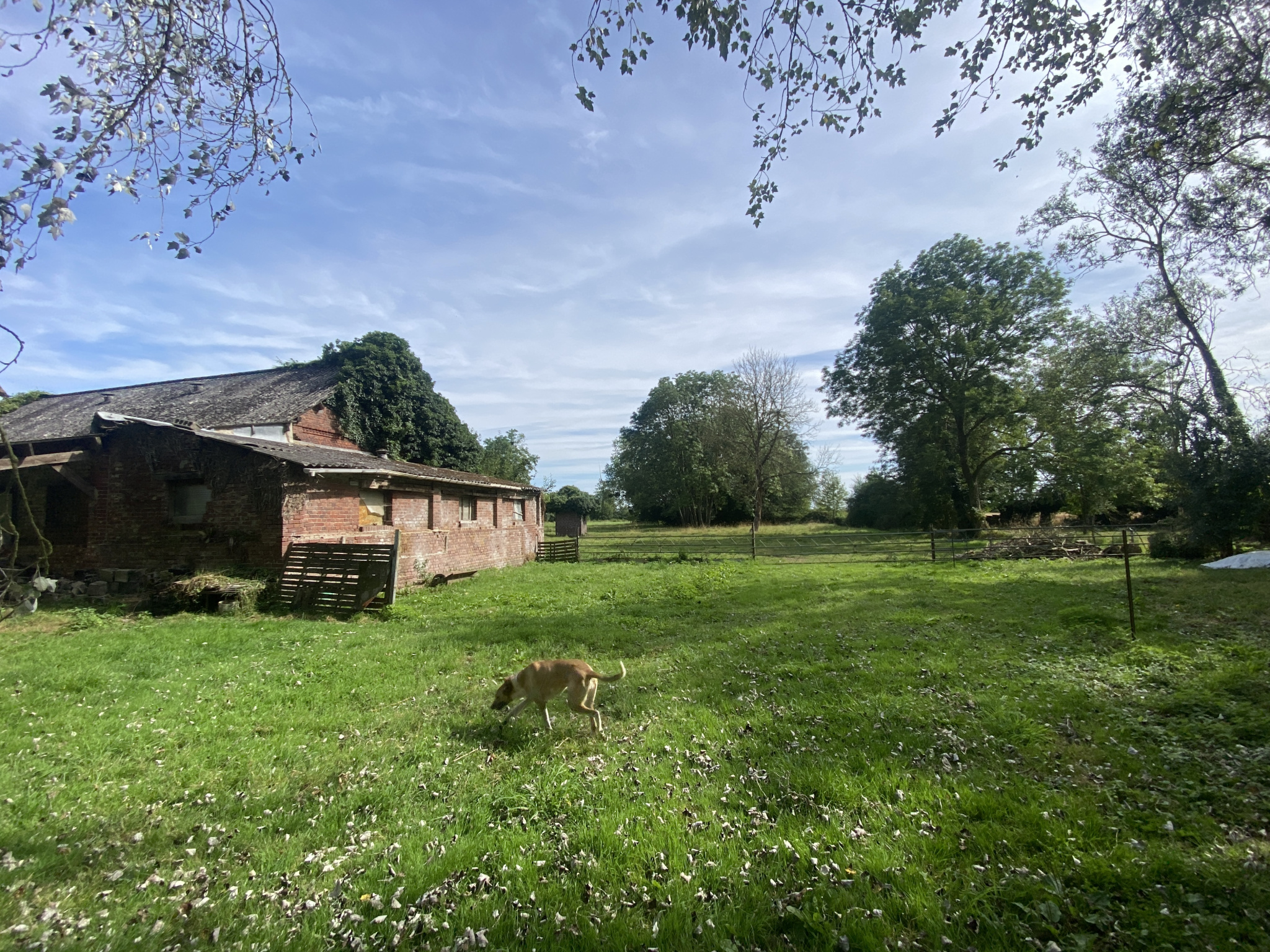 Agence immobilière de Agence DEMONCHY